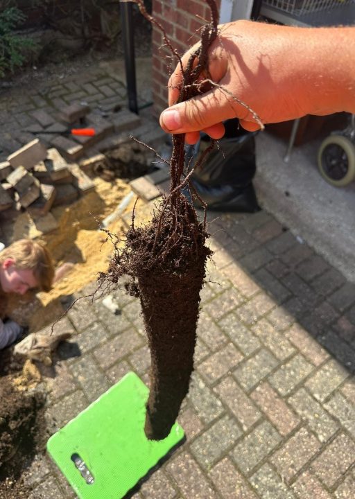drain root cutting