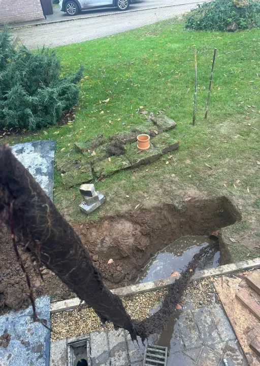 WhatsApp Image 2024-10-28 at 17.05.12